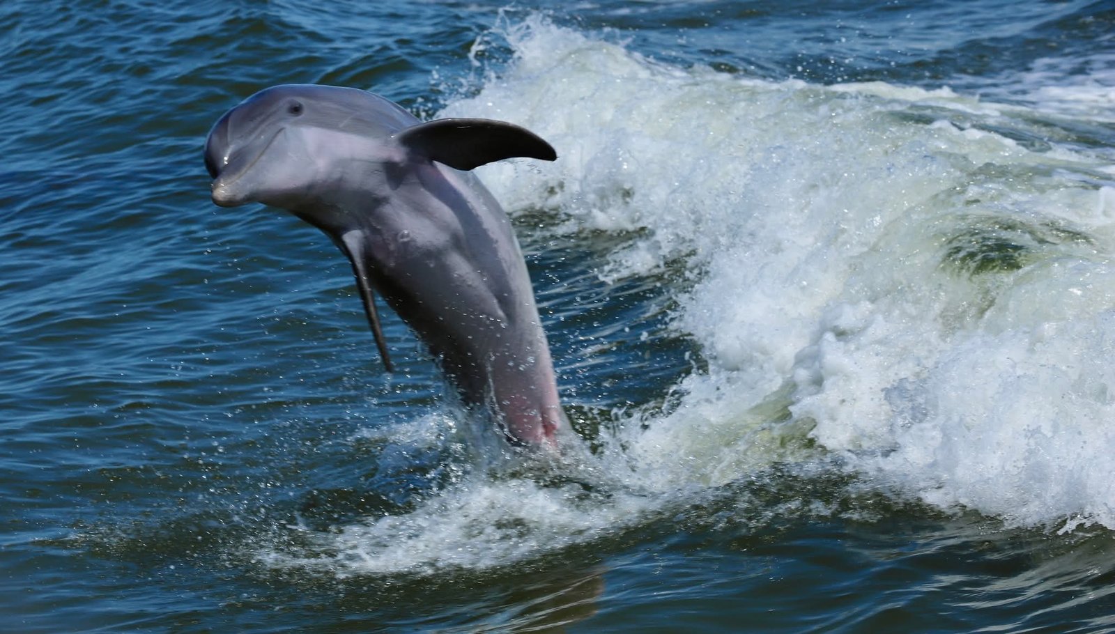 FB_IMG_1770928288326