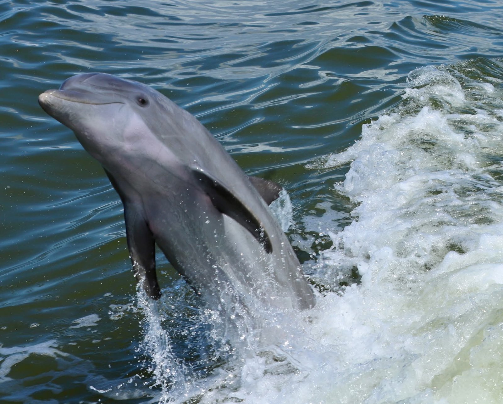 FB_IMG_1770928313423