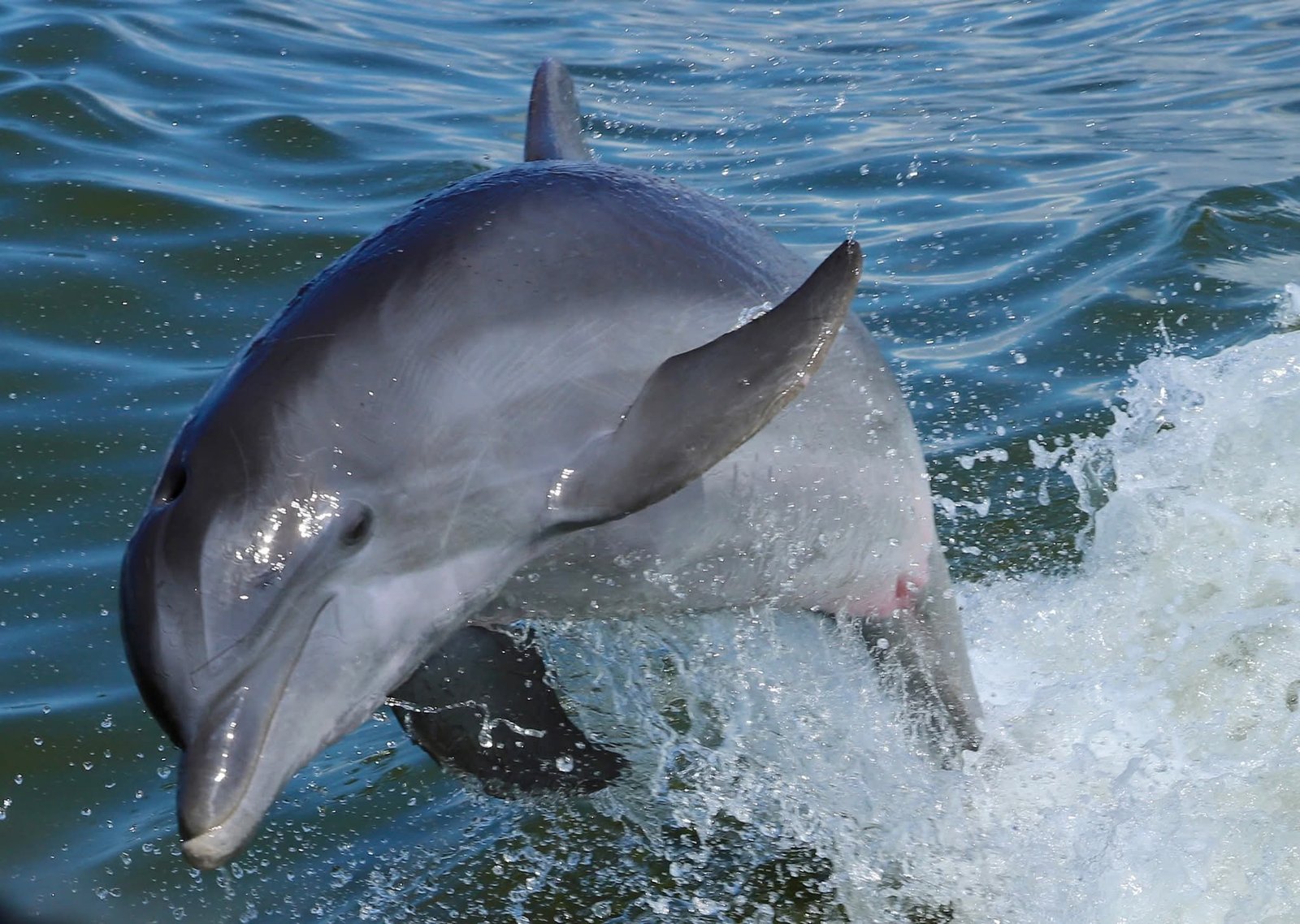 FB_IMG_1770928413135