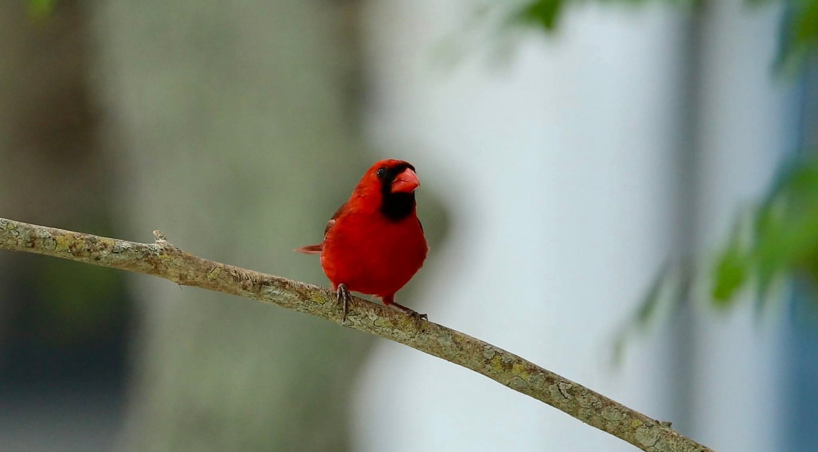 FB_IMG_1770928830373