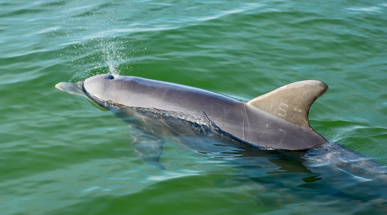 FB_IMG_1770928898101