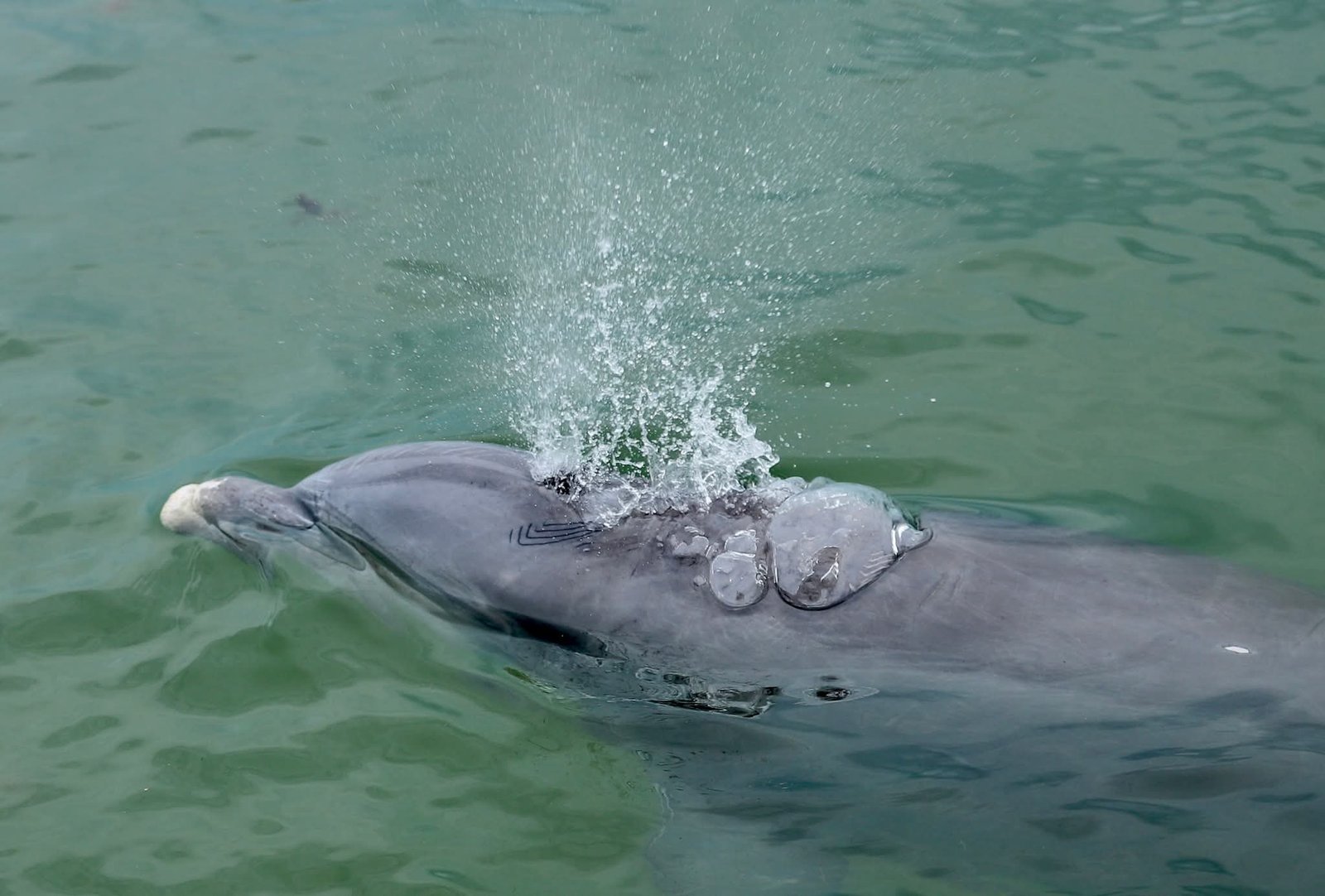 FB_IMG_1770928968441