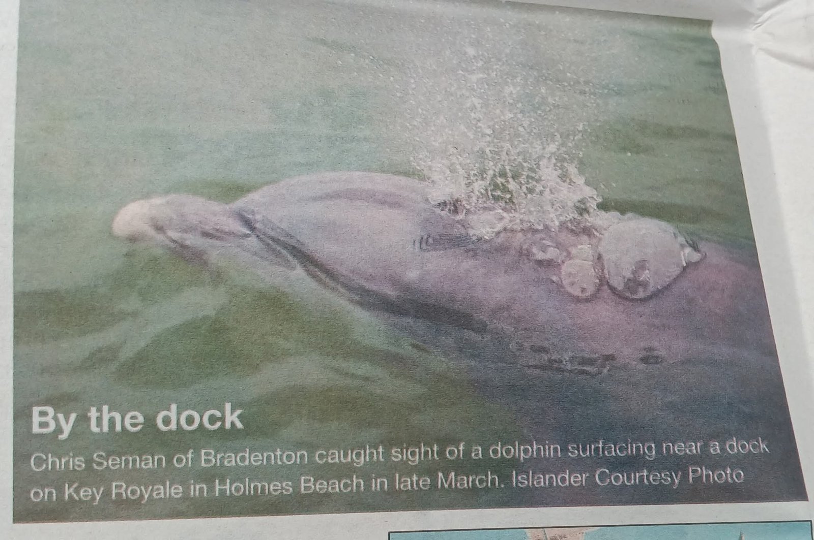 FB_IMG_1770928982659