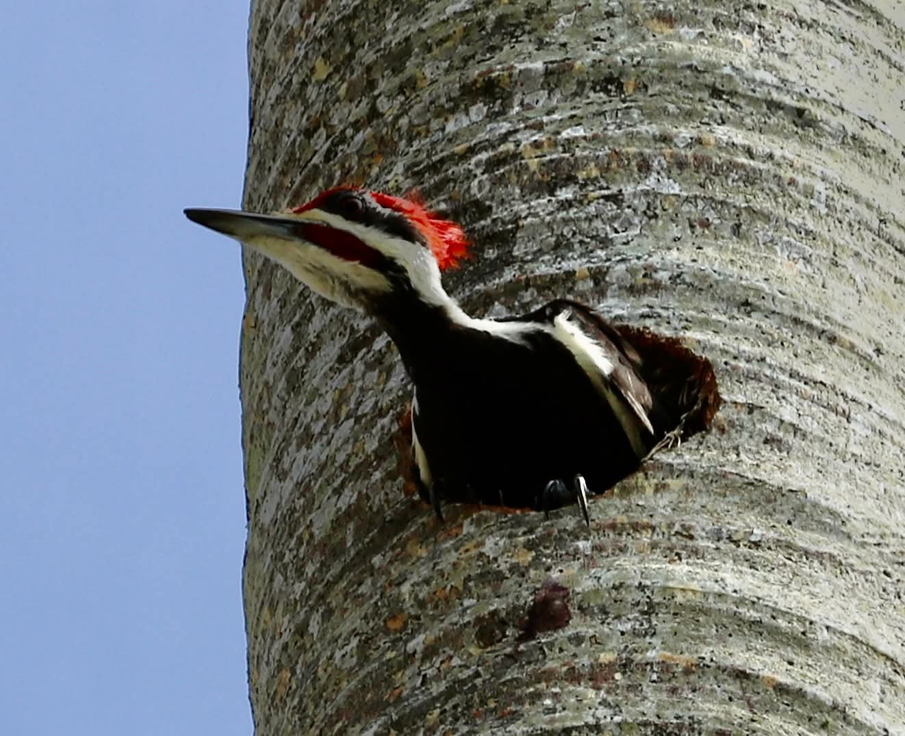 FB_IMG_1770928995664