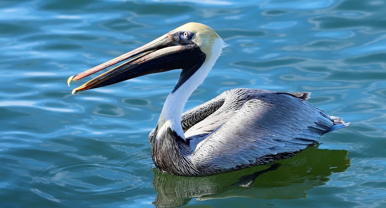 FB_IMG_1770929100618