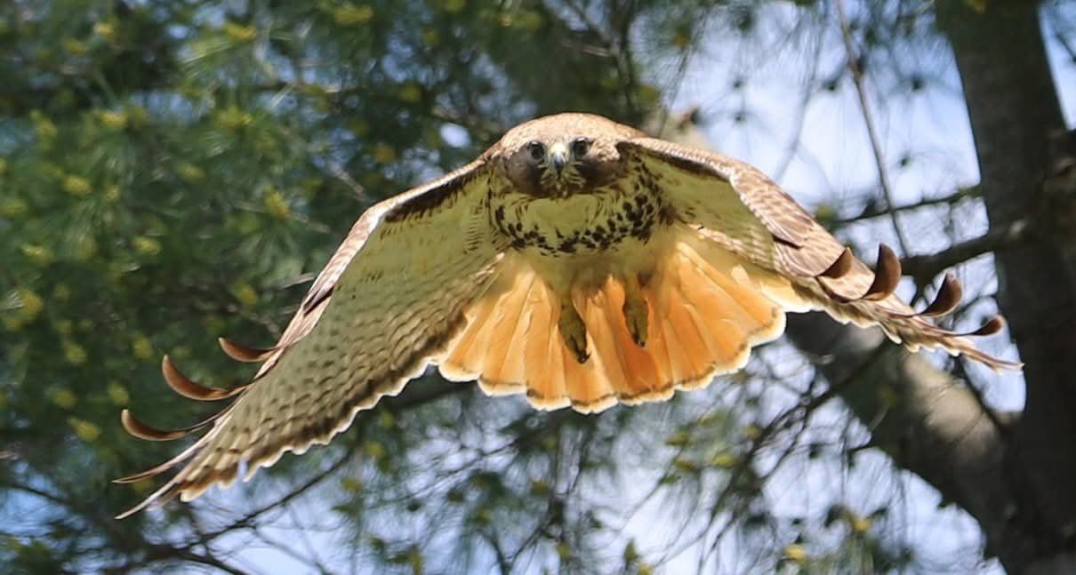 FB_IMG_1770929354832