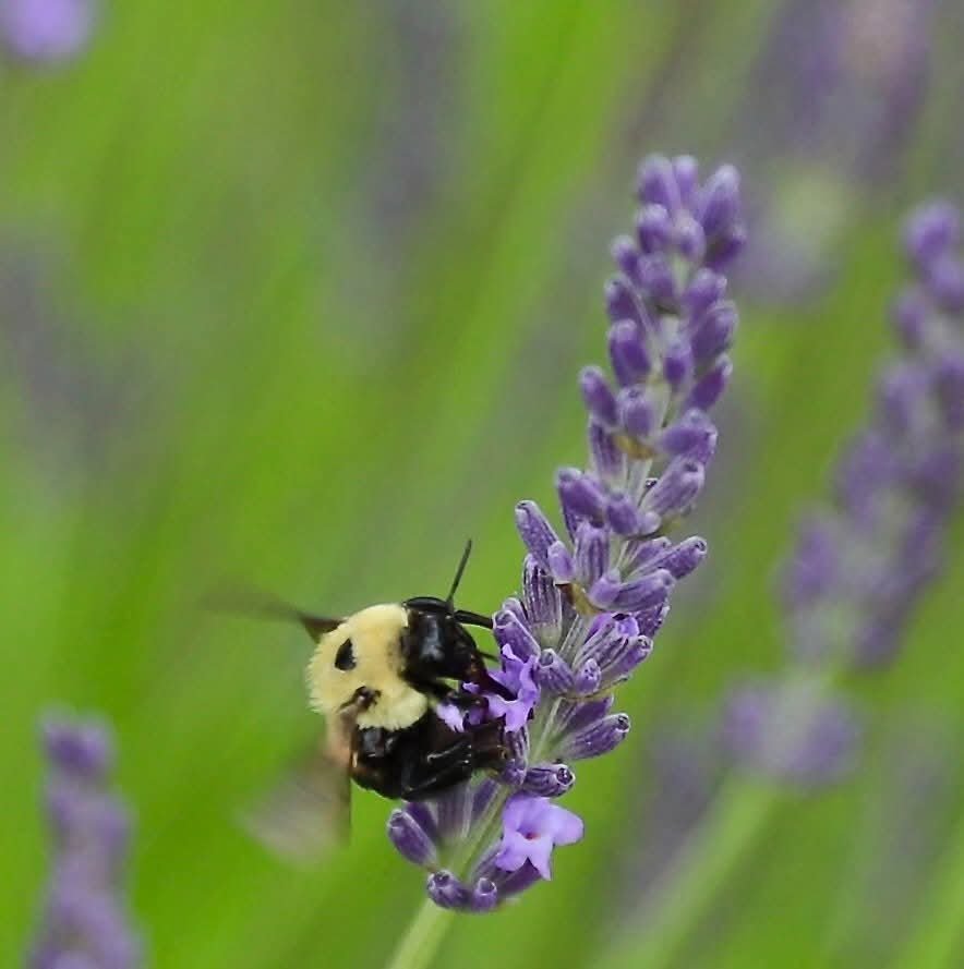 FB_IMG_1770929365101