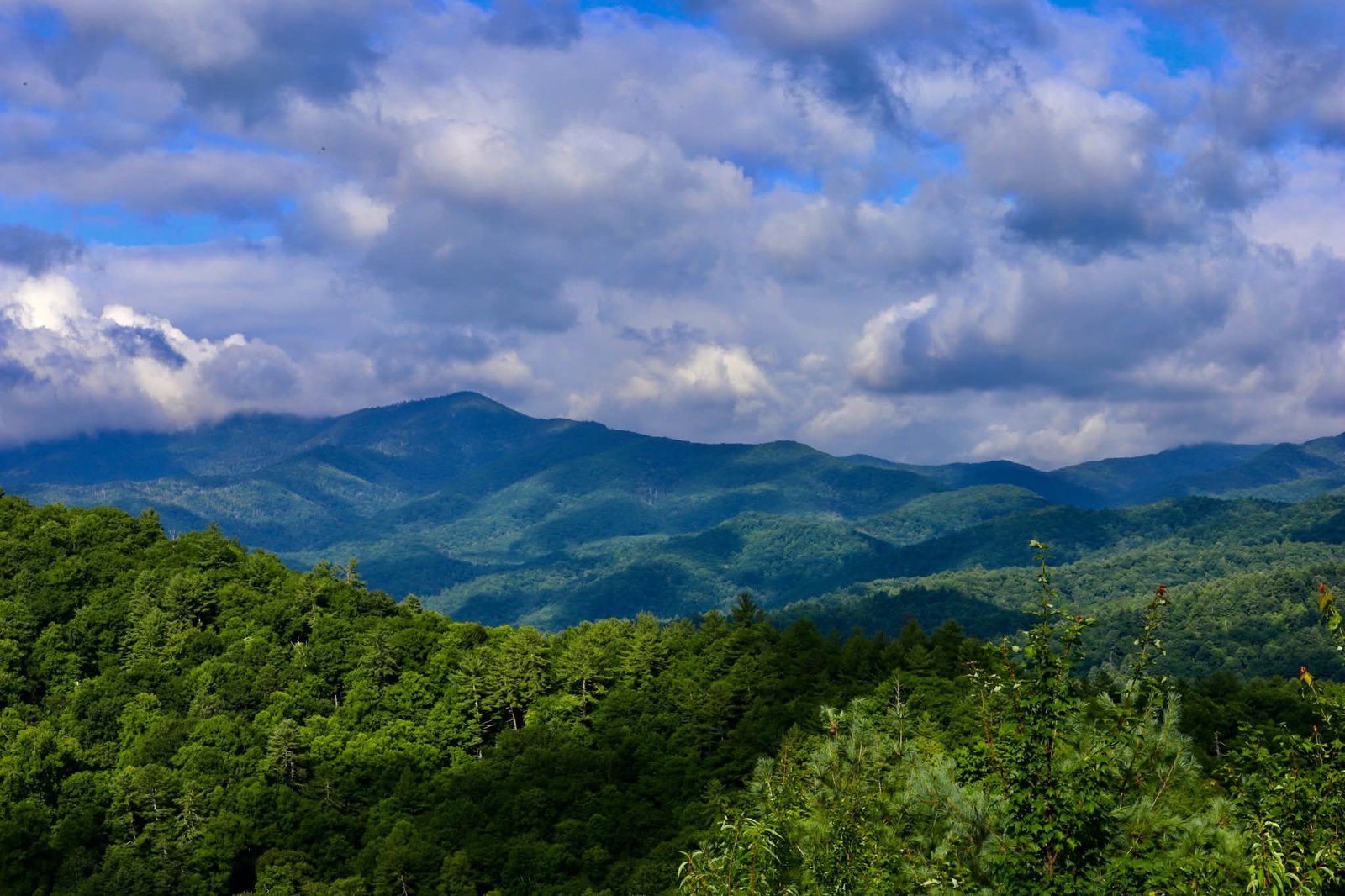 FB_IMG_1770929378760