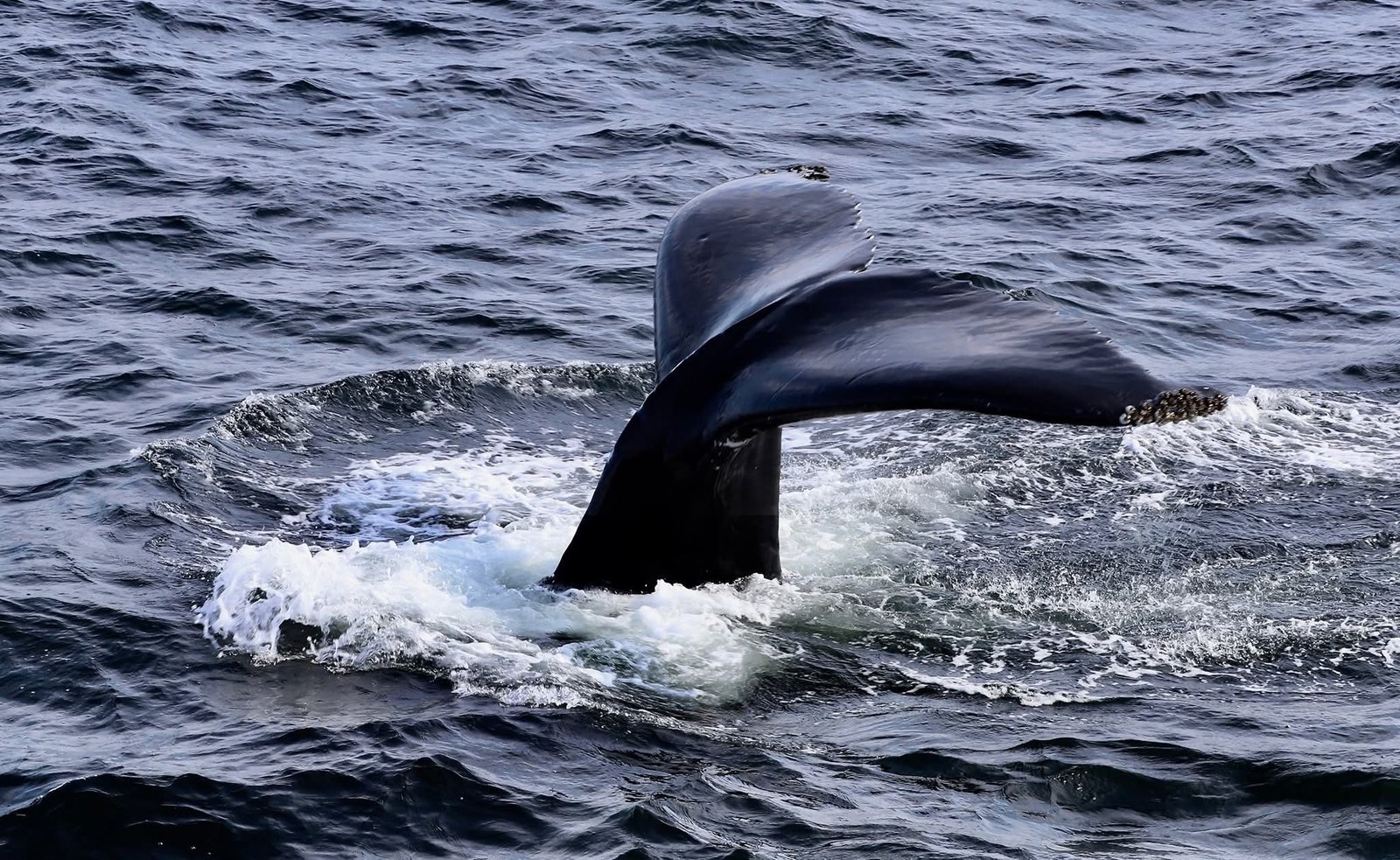 FB_IMG_1770929449304