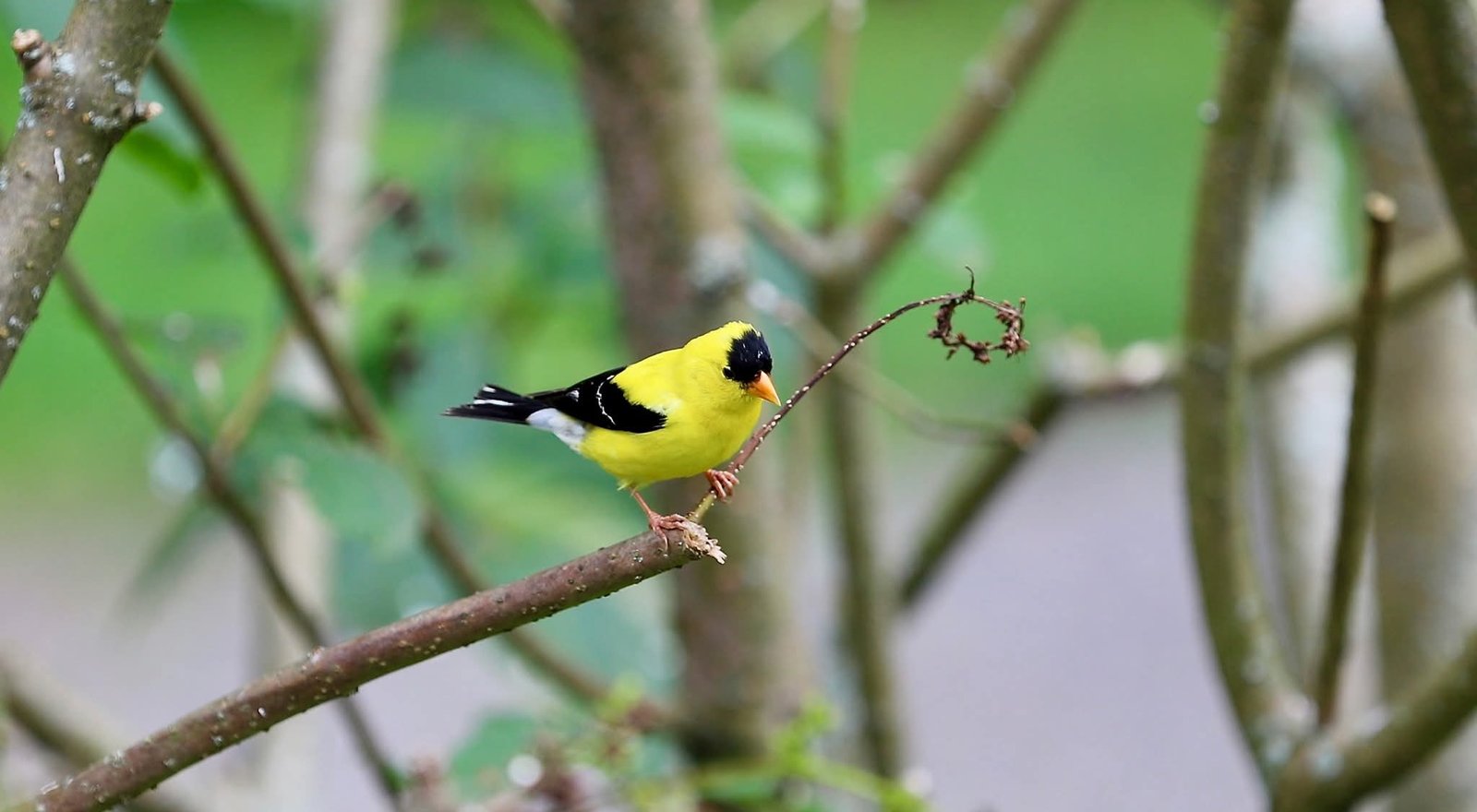 FB_IMG_1770929456247