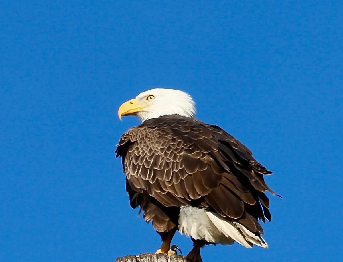 FB_IMG_1770929536322