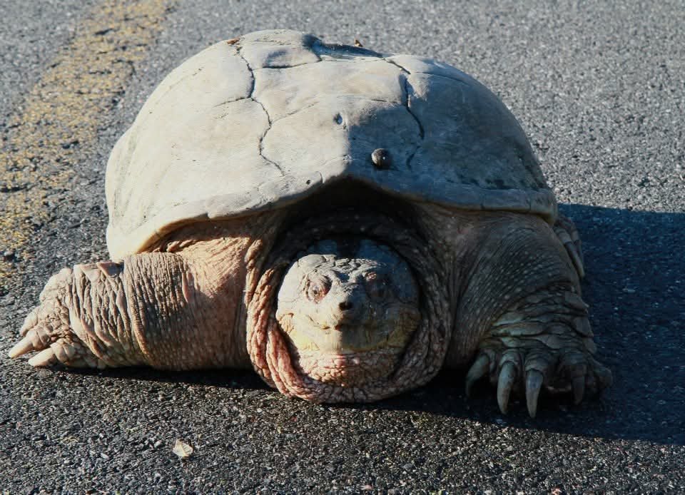 FB_IMG_1770930239447